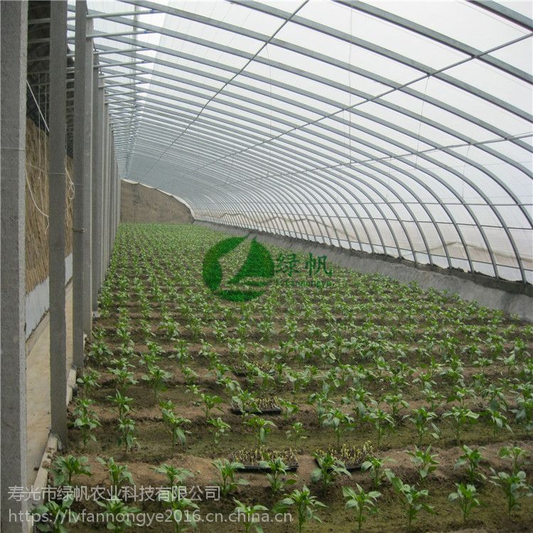 供应土墙几型钢温室 寿光绿帆农业承建 蔬菜大棚 葡萄大棚