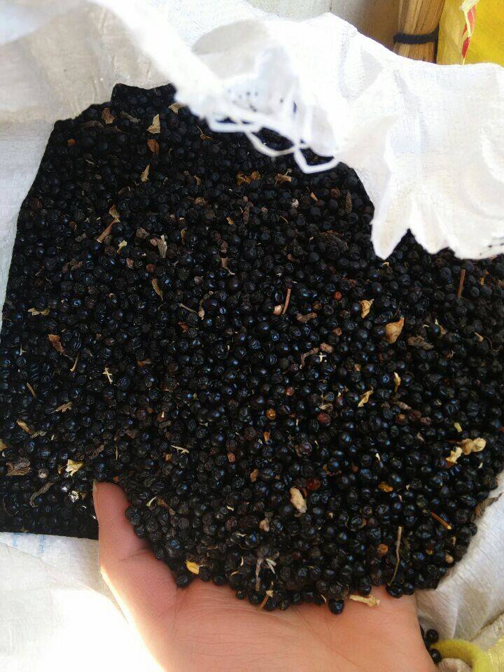 白芍芽头批发赤芍每亩地须要多少棵