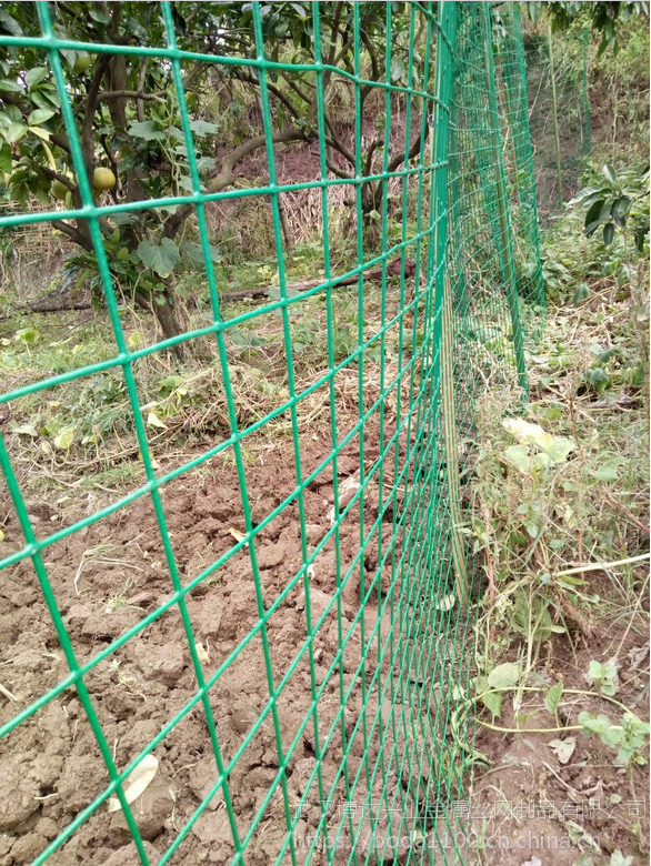 阳新果园围栏网果园绿色铁丝网荆州种植园铁丝围网价格