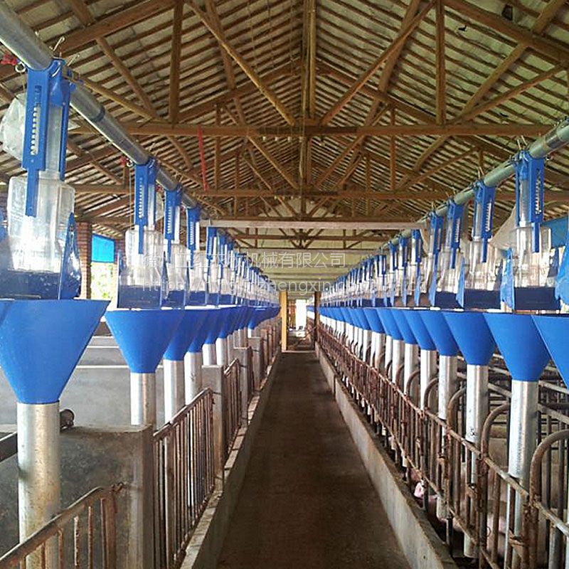 现代化大型养猪设备全自动式猪舍正红养殖g