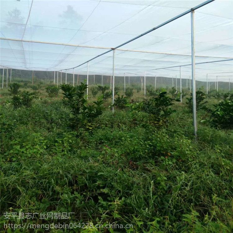 防虫网既有遮阳的作用，又有防虫的功能，是预防大田蔬菜虫害的一种新材料。防虫网主要用于夏秋季