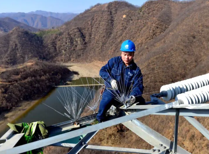 birddrivingspike防鸟刺驱鸟器fnc36防鸟刺装置防鸟器防鸟驱鸟器