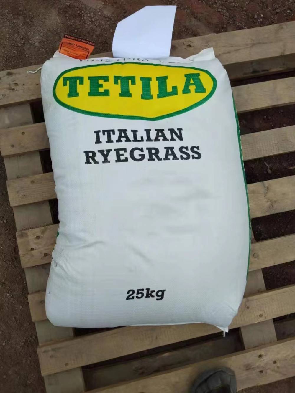 风铃草混色花种子高羊茅早熟禾混合草籽老人葵棱角丝瓜