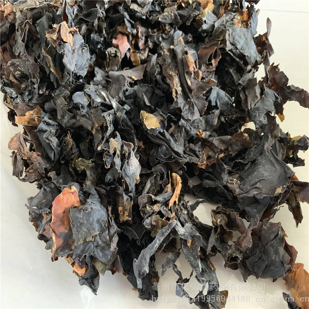 中药材昆布的药用价值纶布用法用量海昆布价格多少