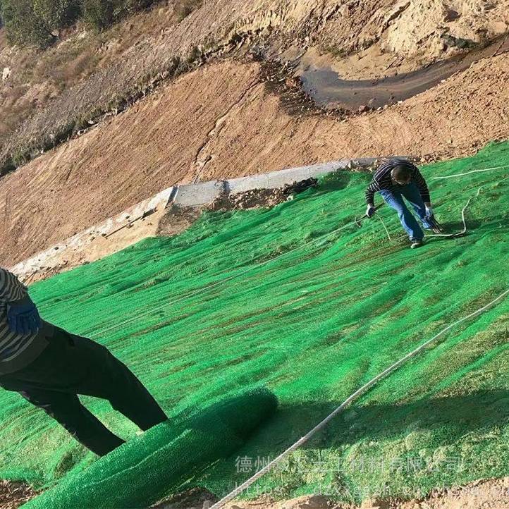 山西太原三维植被网 公路边坡防护三维土工网垫河道护坡