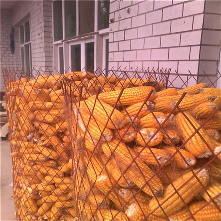 防锈漆菱形卷网 圈玉米钢板网现货  菱形钢丝网厂家