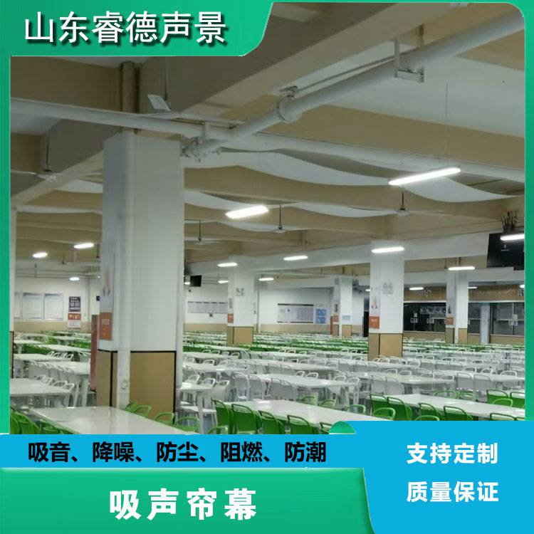 rayde 吸声帘布 学校酒店影院KTV吸音帘幕降噪专用卷帘 全国发货