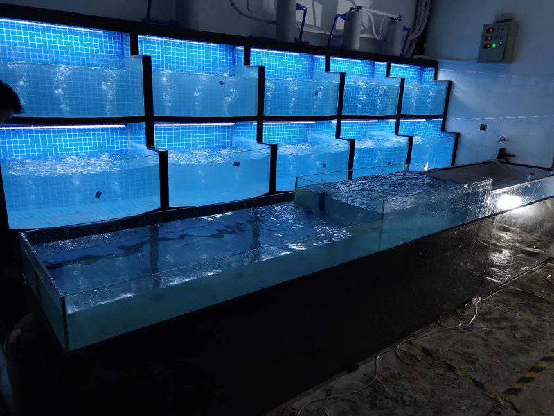 深圳盐田玻璃海鲜池定做-盐田餐厅海鲜池