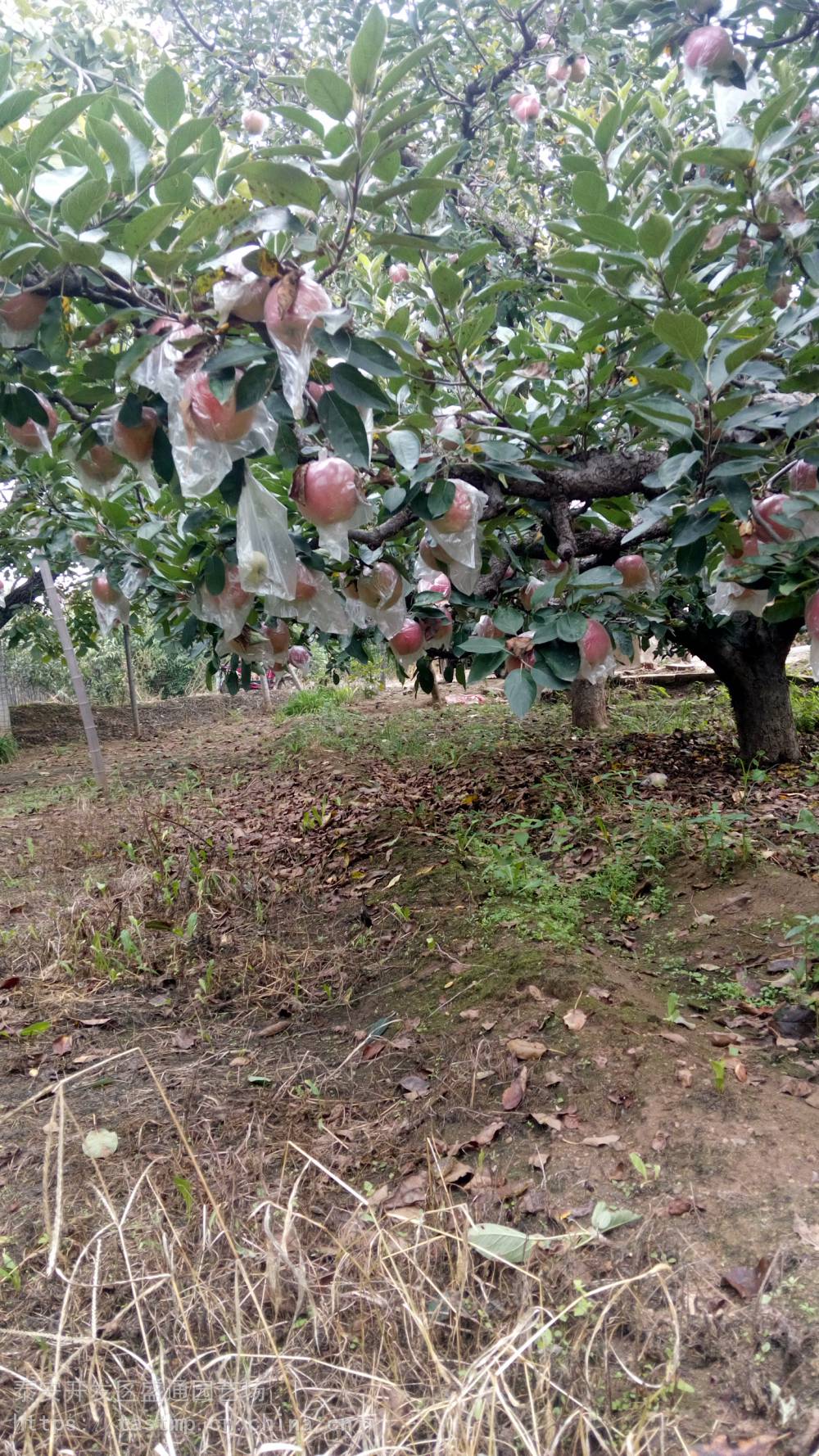 探索香烟市场，正品出口香烟货源网的深度解析货源渠道 - 1 - AH香烟货源网