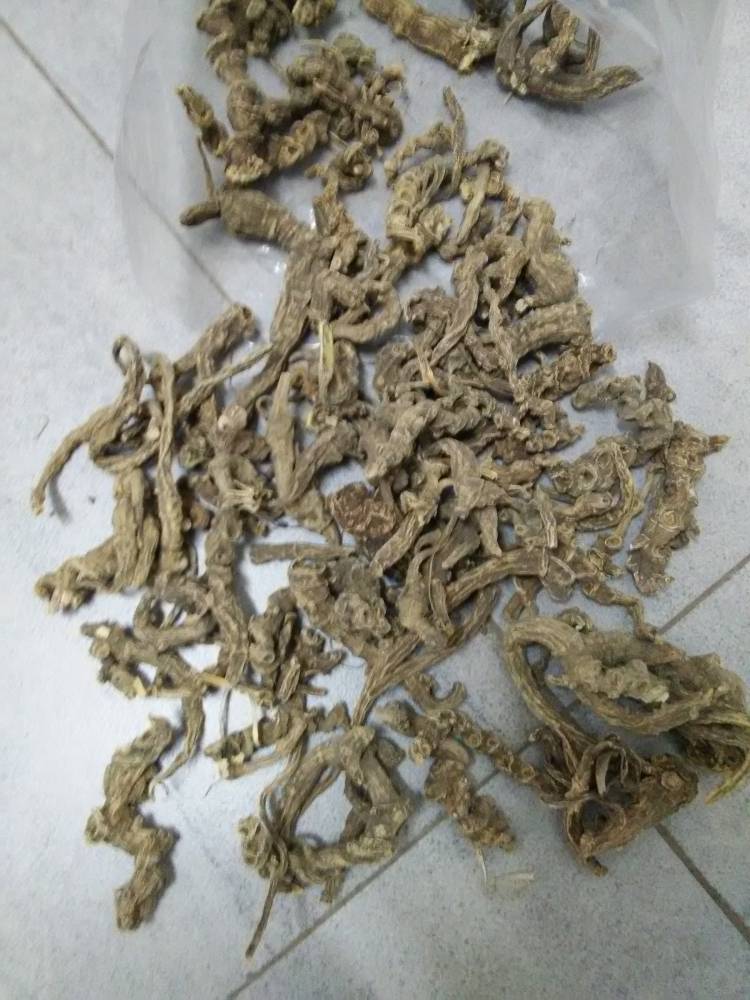 野生蜈蚣七的功效野生峨三七批发价格