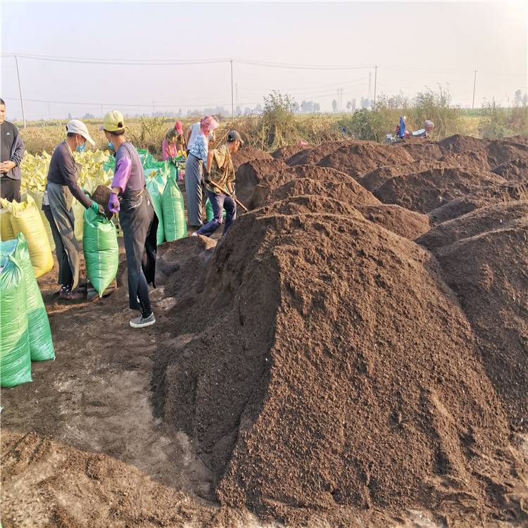 浙江干鸡粪出售温州晒干鸡粪块大蒜使用邳州发酵鸡粪的施肥方法