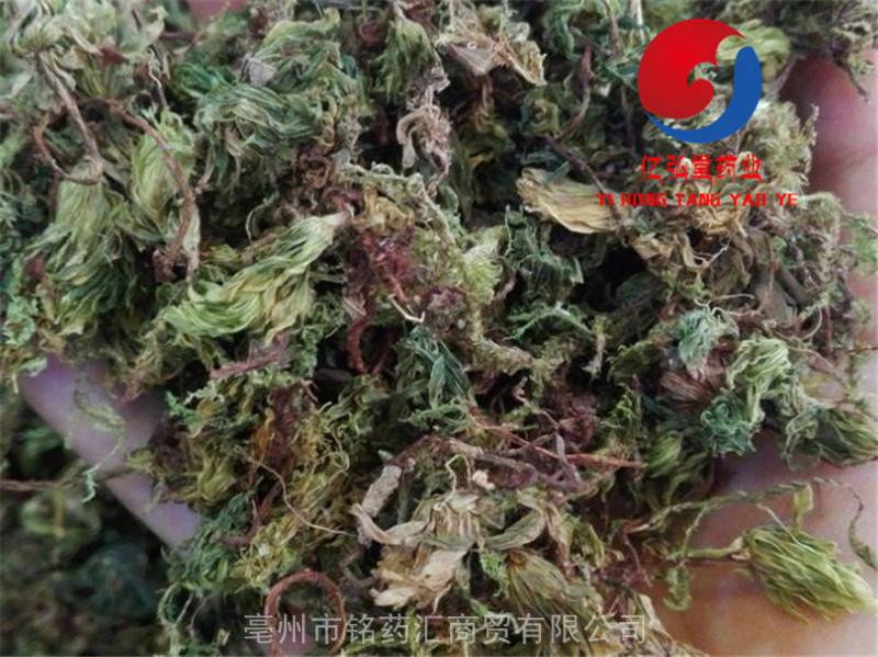 中药材野生伤药打不死晒不死古仔灯新娘灯大疔癀大还魂