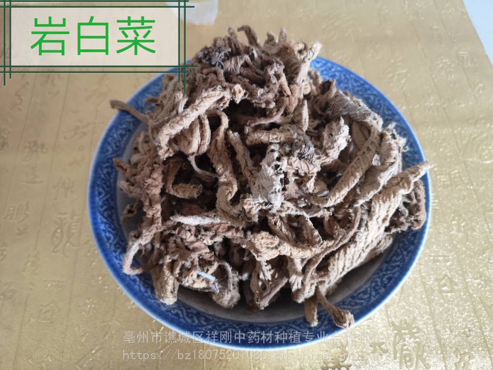 野生岩格购买岩白菜多少钱一公斤