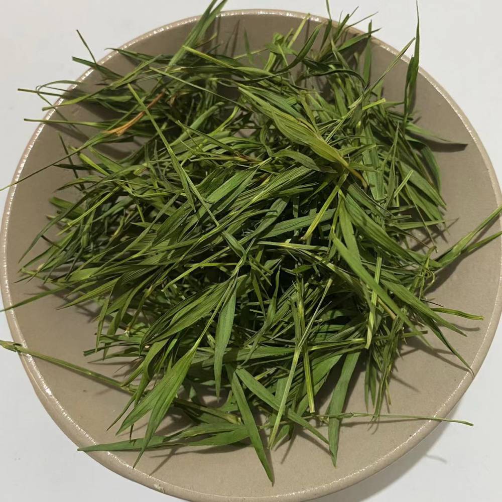 中药材淡竹叶茶淡竹叶茶的药效和售价