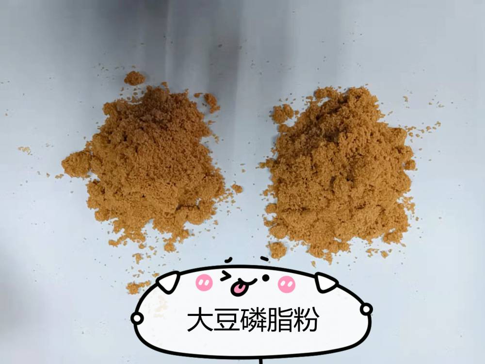 山东生产大豆磷脂粉 提供技术磷脂粉 厂家合作大豆磷脂油粉