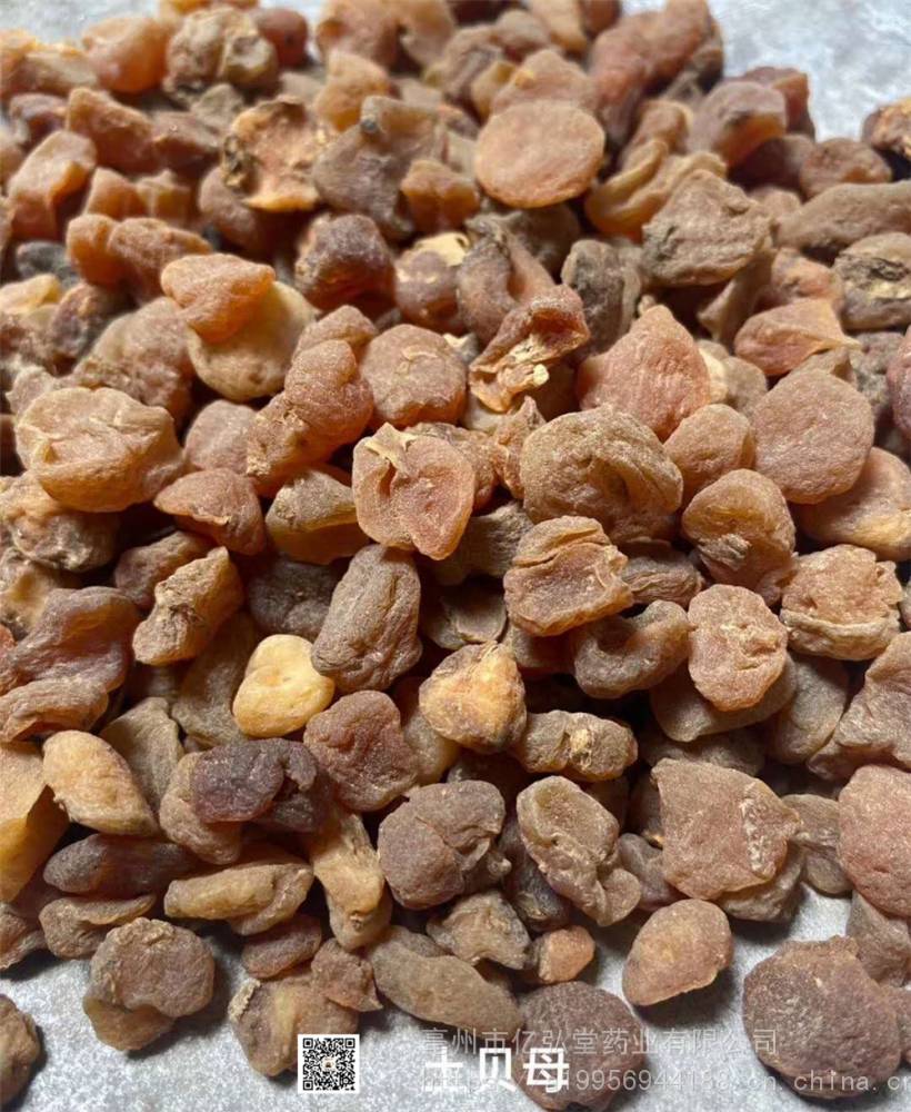 土贝母大贝母大贝母批发