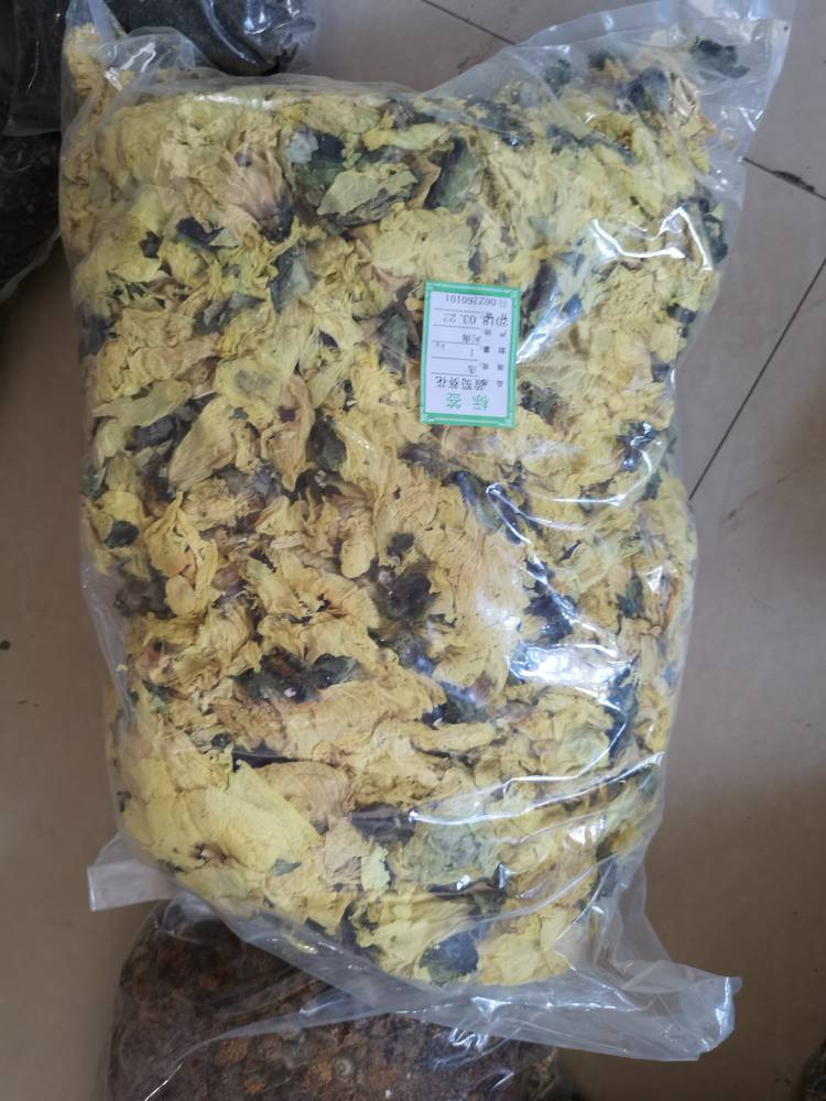 中藥黃蜀葵花功效作用側金盞花霸天傘棉花蒿秋葵豹子眼睛花圖片