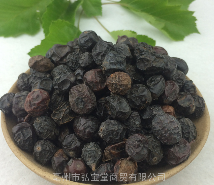 川楝子的价格苦楝子的功效川楝子的作用图片