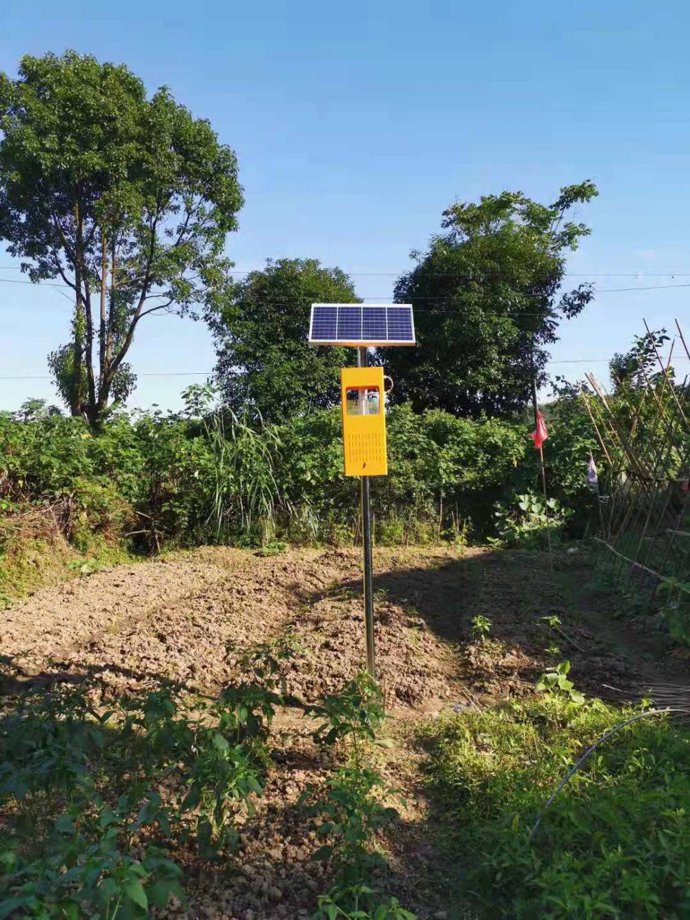 甘孜丹巴太阳能杀虫灯厂家-，各类户外灯具定制批发厂家