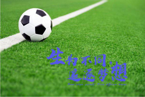 BOB体育资讯：葡萄牙主帅表示，欧洲杯C罗将再创记录