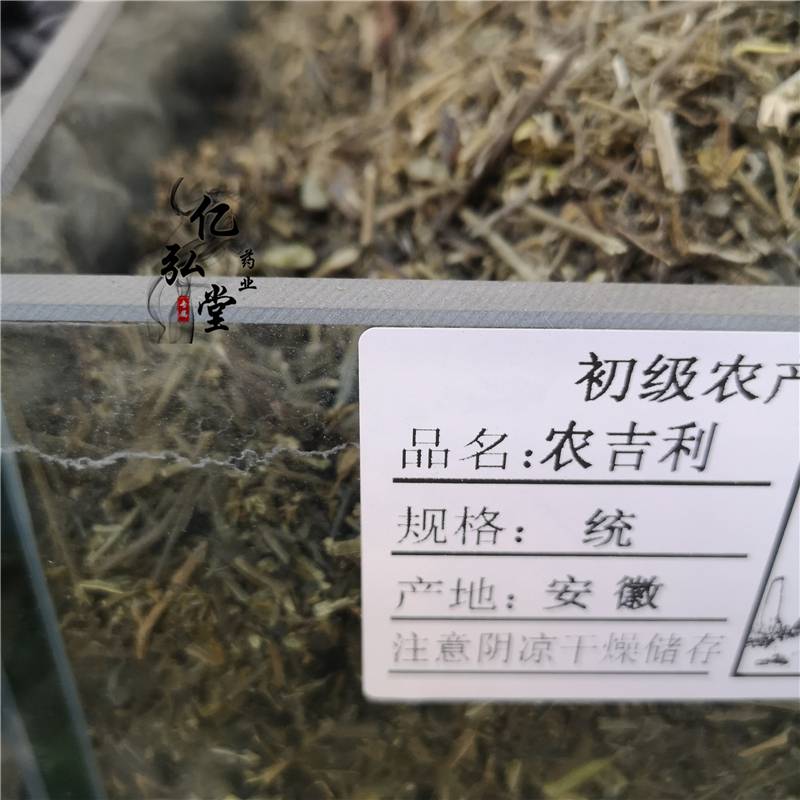 中药农吉利别名图片