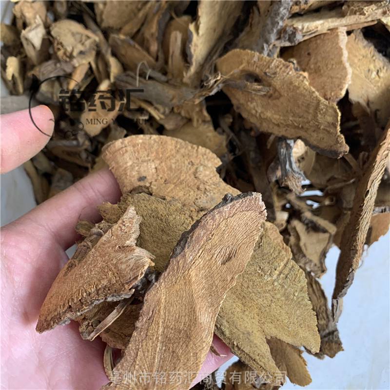 中药材川筋龙野生斑杖根图片