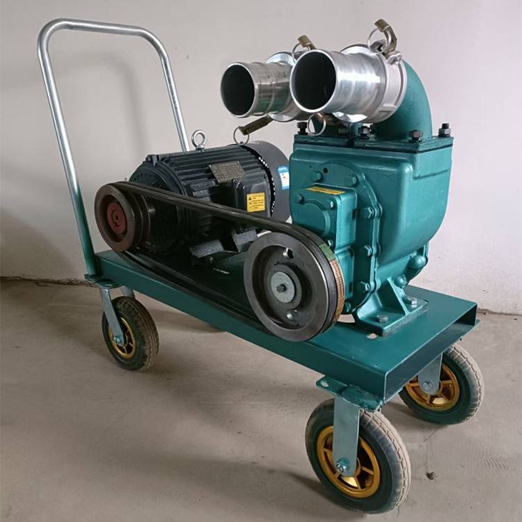 推车式电机吸粪泵3寸口径排污抽粪泵15马力电启动排於泵