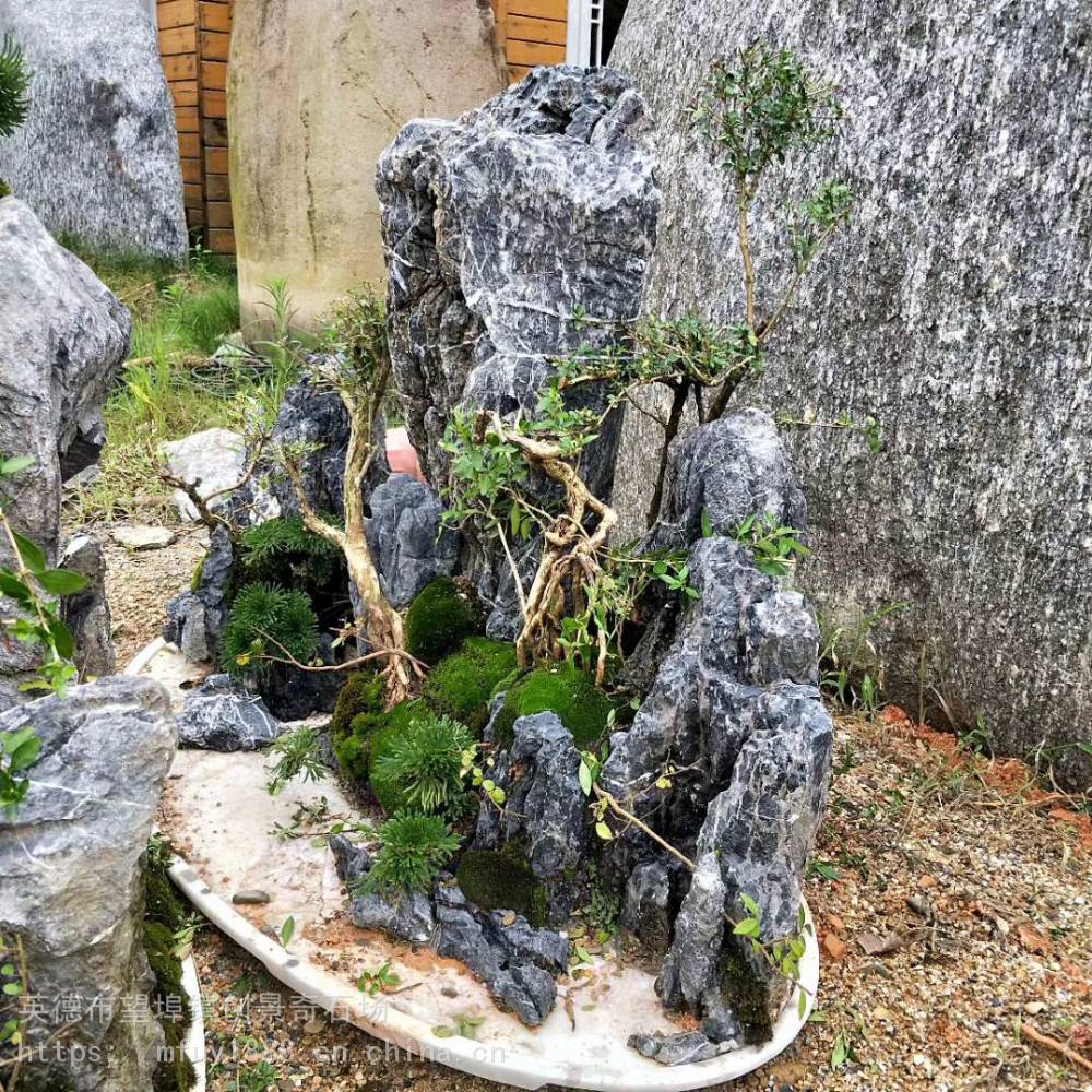 大气的青龙石中式山水水陆缸石青龙石微景观造景石