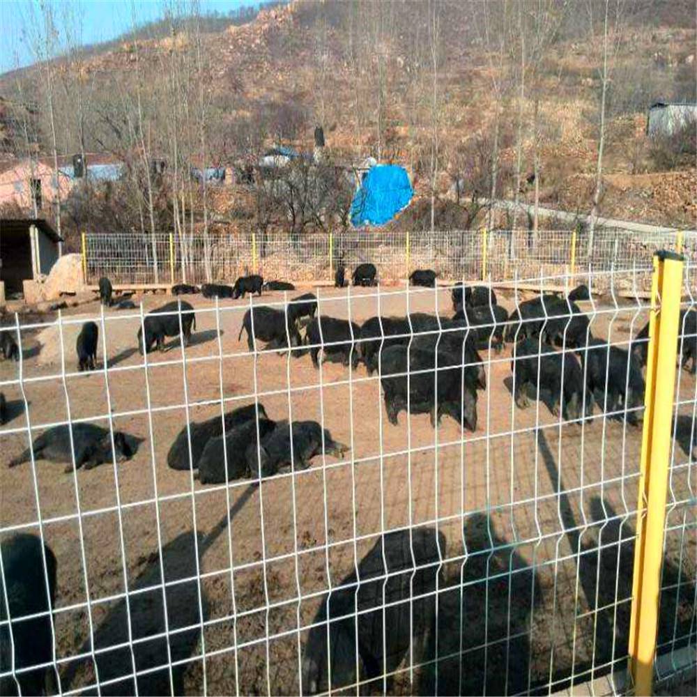 阿克苏绿色围栏网pvc养猪网铁丝网