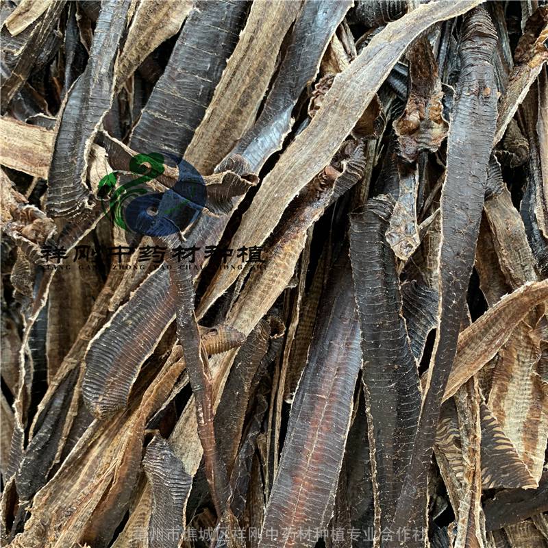 中药材整条地龙价格未切大地龙功效与作用
