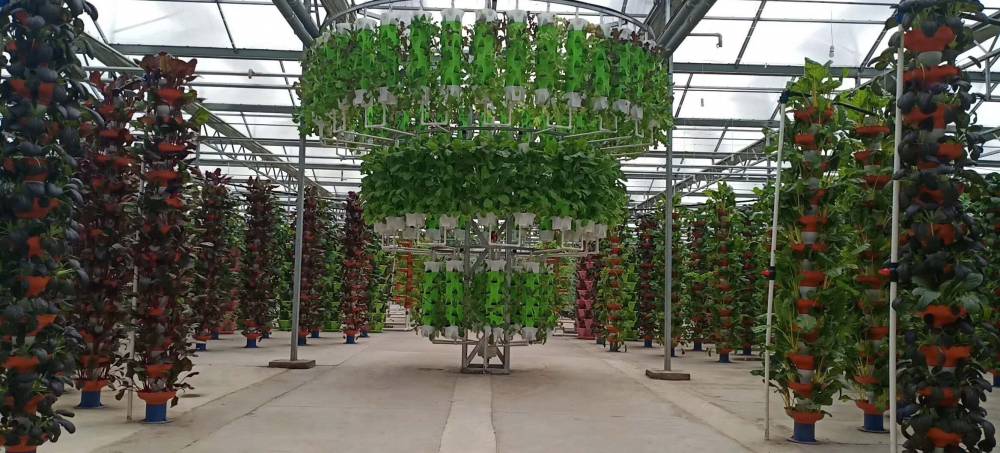 三分钟带你了解风平智能