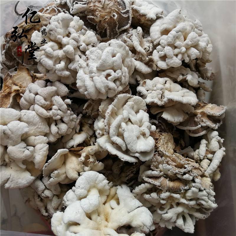 雪莲菌又称藏灵菇,是一种乳白色或浅黄色的胶质状的块状物,生长形状无