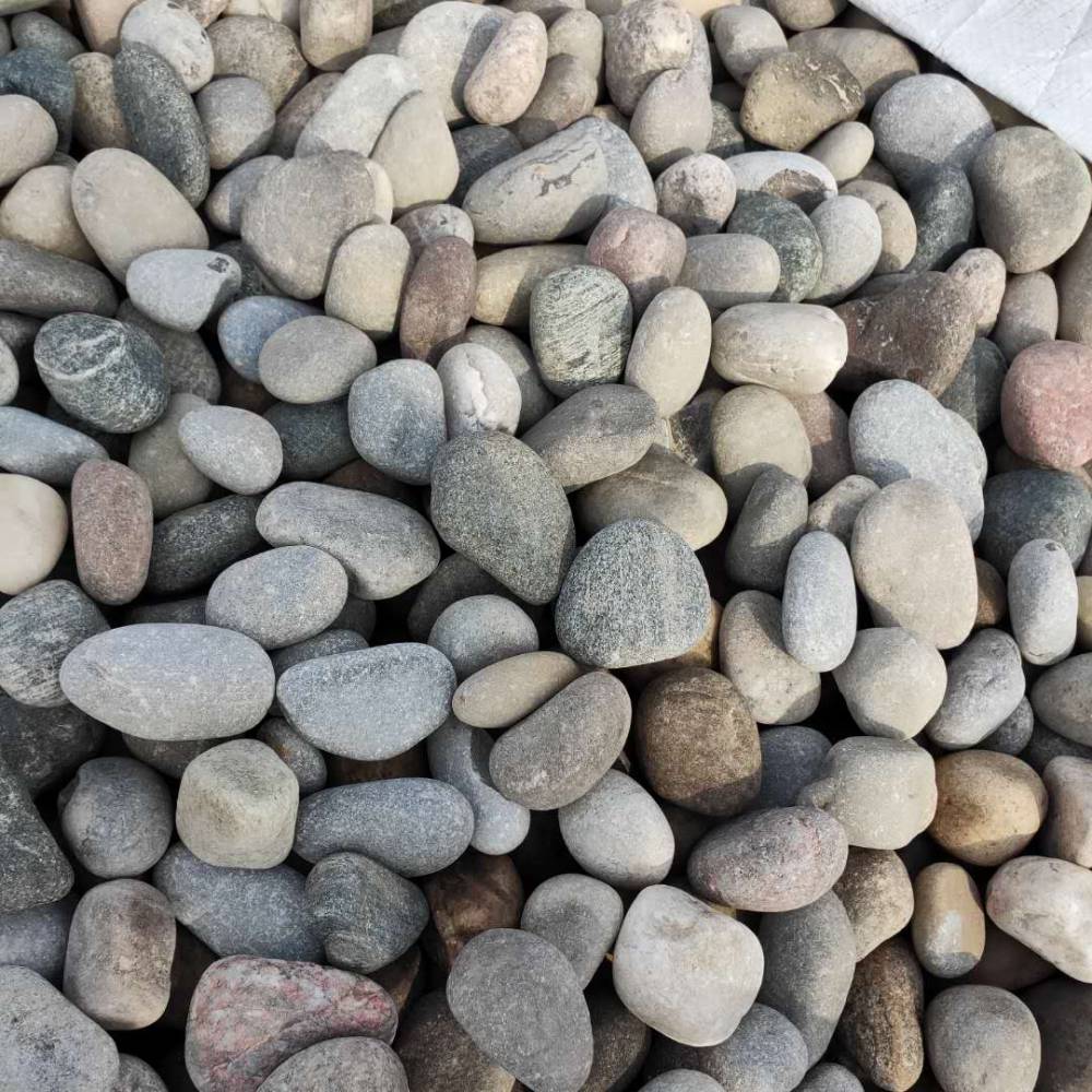 阳泉洗手间鹅卵石抛光五彩鹅卵石批发