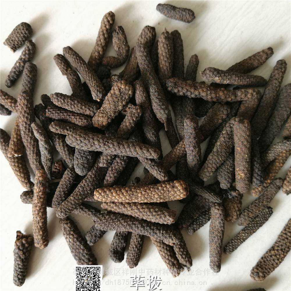 中药材荜茇功效与作用荜拨荜拨梨阿梨诃他椹圣蛤蒌鼠尾