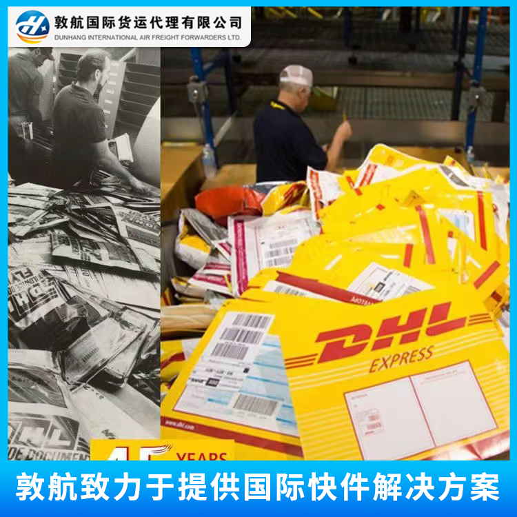DHL-DHL/߽