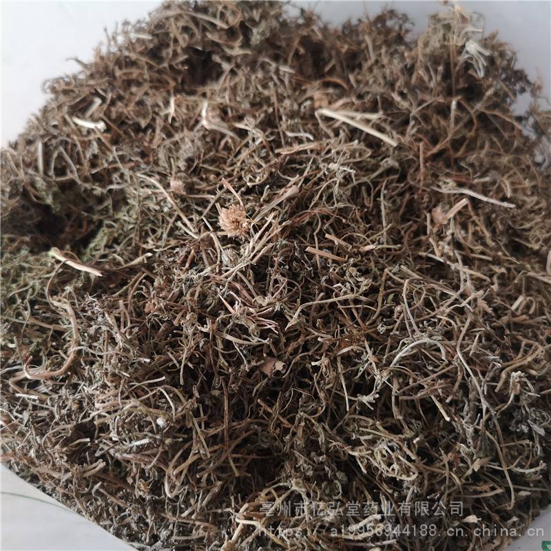 中药材猪屎草哪里购买便宜猪屎草价格猪屎草多少钱一公斤