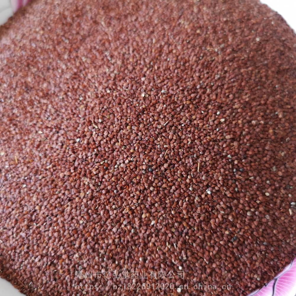 为爵床科植物水蓑衣hygrophila salicifolia(vahl)nees的种子.