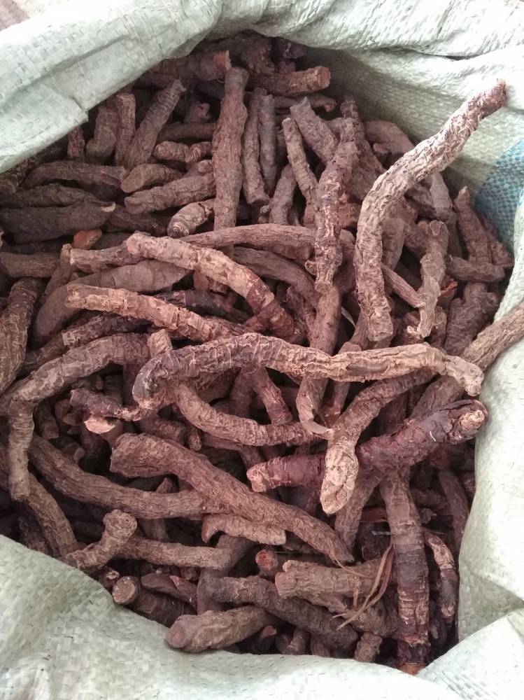 云南野生血三七价格多少血三七和三七不一样