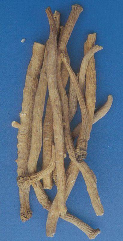 黄芪打壮根灵有用吗挑战王中药材壮根灵黄芪增产增收