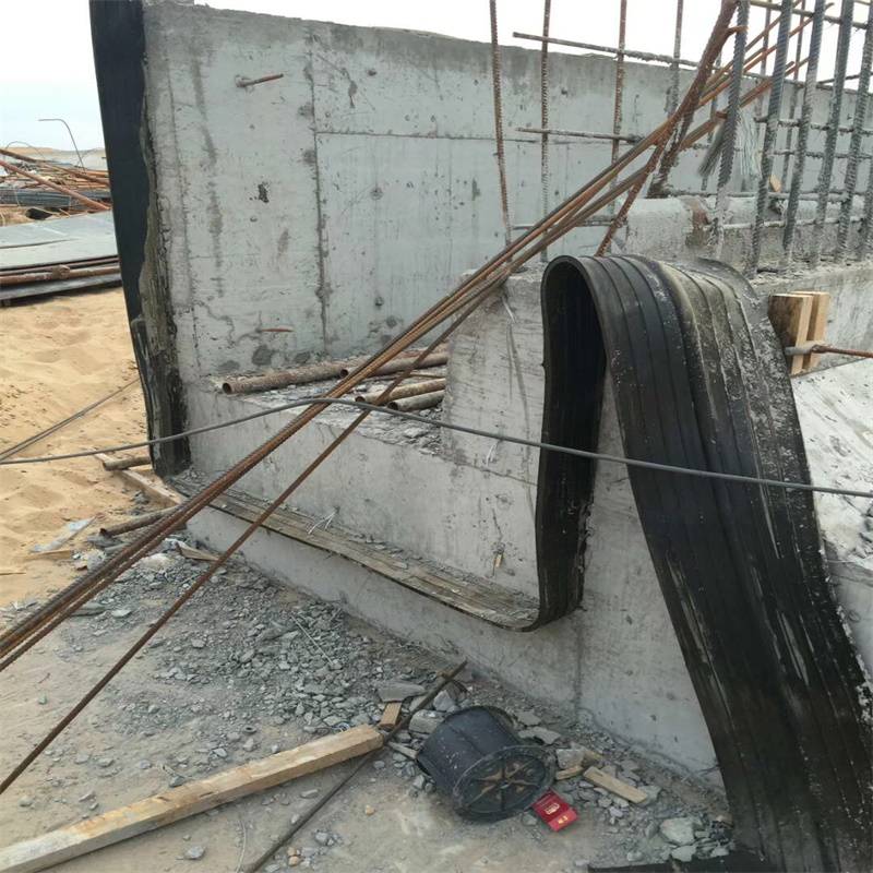 新闻资讯黄石可卸式橡胶止水带供应商定做2022已更新产品推荐