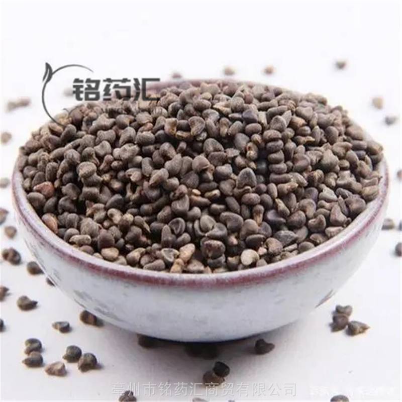 野生冬葵子苘麻子青麻子冬寒菜冬苋菜马蹄菜金钱葵滑肠菜金钱紫花葵