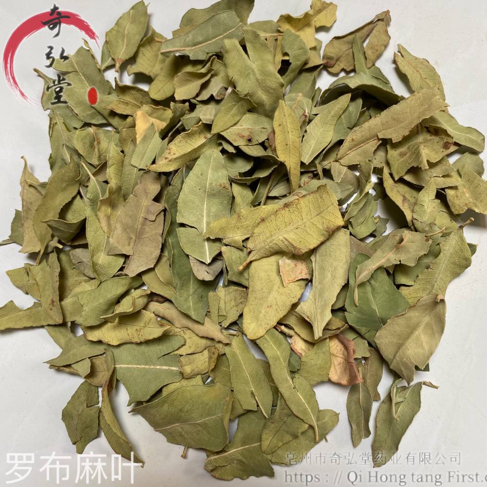 罗布麻叶小芒尖图片