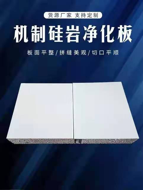 廊坊機制硅巖淨化板50淨化隔牆板吊頂硅巖淨化夾芯彩鋼板