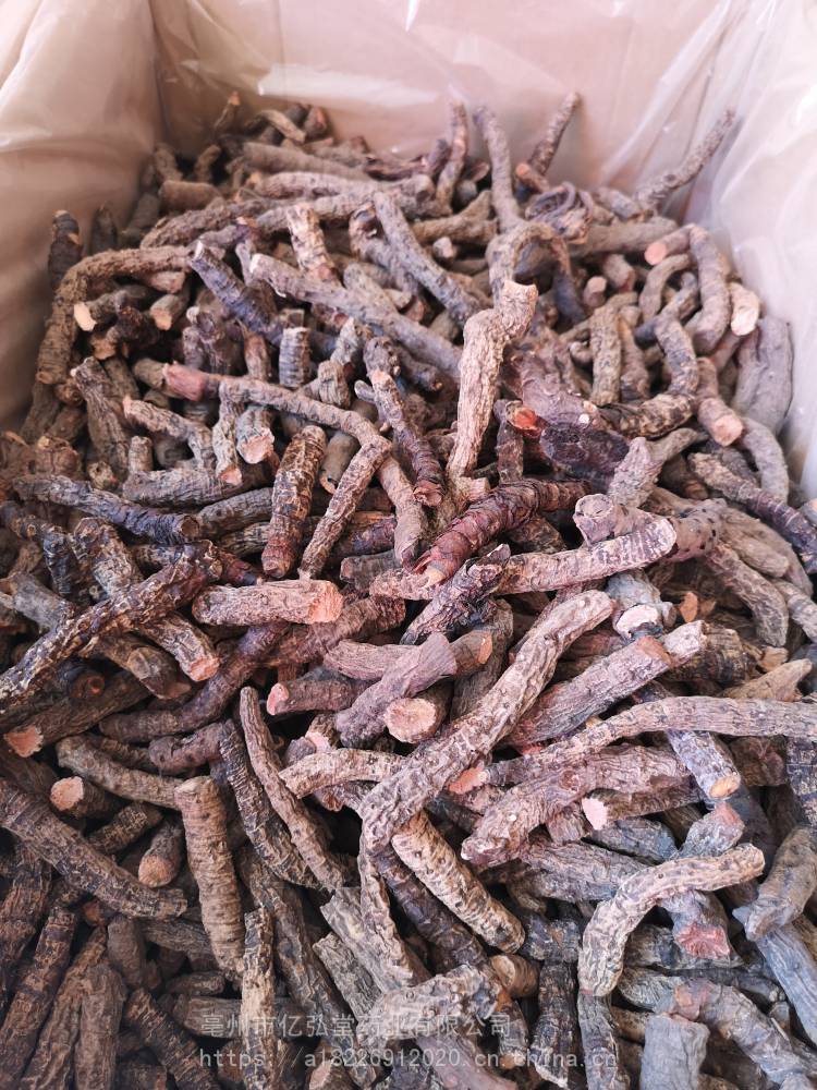 血三七的功效与作用当年货紫蓉三七价格