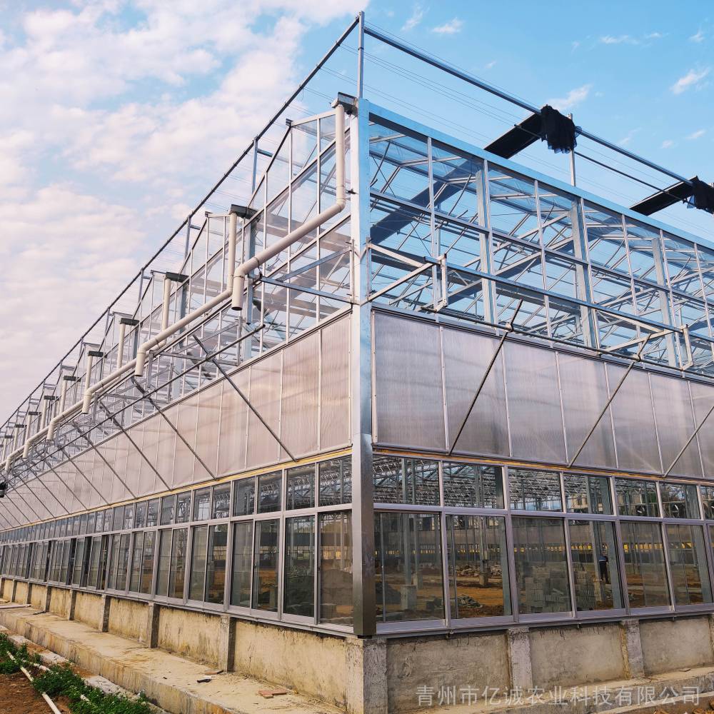 亿诚农业 智能玻璃温室 薄膜连栋大棚 安装速度快 结构稳定 寿命长