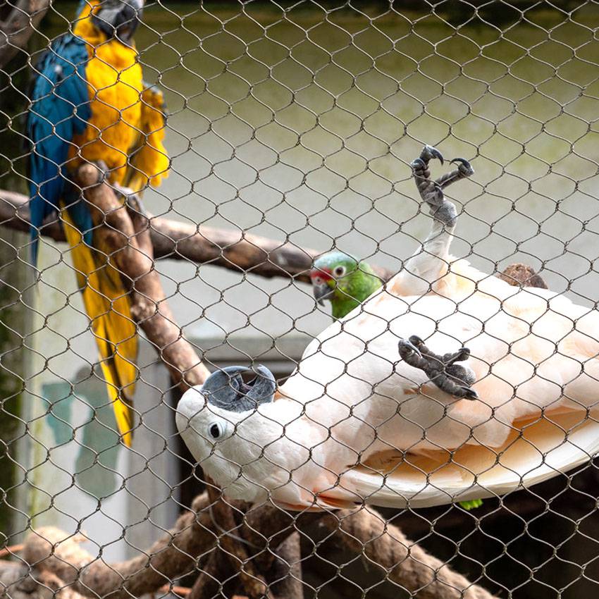 编织304不锈钢绳网鸟笼舍网规格型号