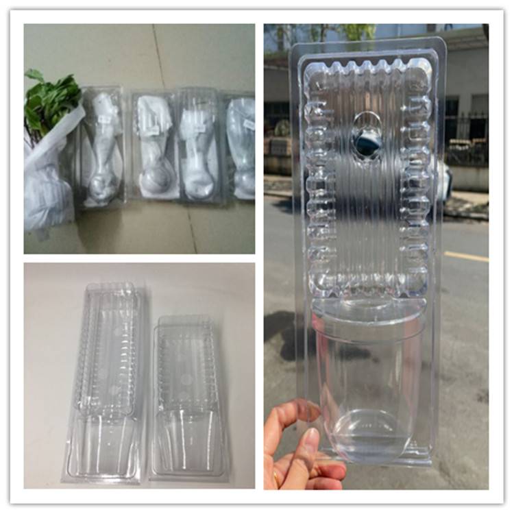 鲜活植物包装盒 广东省惠州市吸塑包装定制