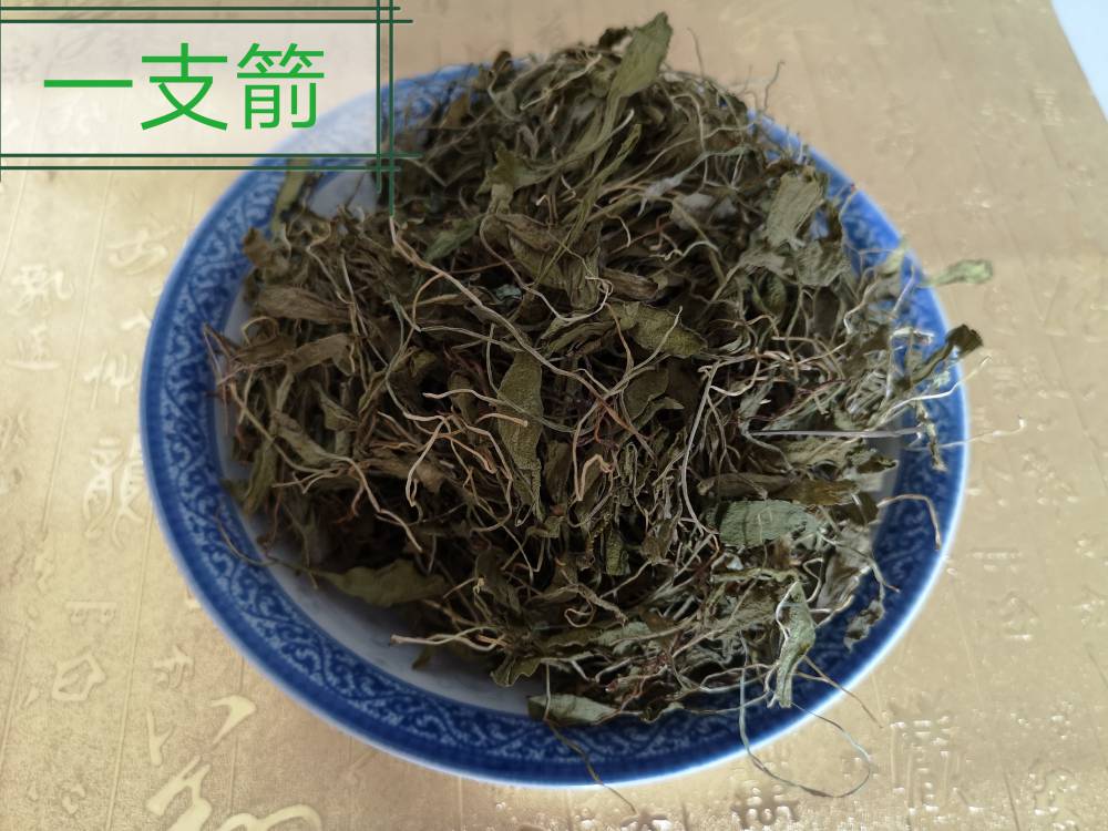 中药蛇须草云南野生蛇须草批发电话