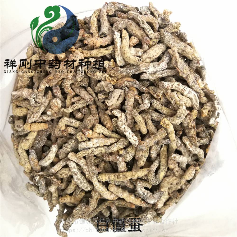 【别名】僵蚕,天虫,僵虫,白僵虫【英文名】white silkworm【拼音名】