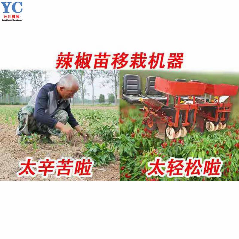 辣椒移栽机拖拉机后置栽辣椒机辣椒苗种植机农用栽辣椒设备